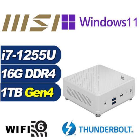 MSI 微星 (DIY)白龍泰坦P Cubi5 12M 迷你電腦(i7-1255U/16G/1TB M.2 PCIe SSD/Win11Pro)