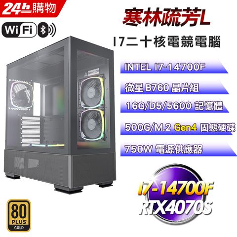 MSI 微星 B760 平台【寒林疏芳L】I7二十核RTX4070S電競塔散效能電腦