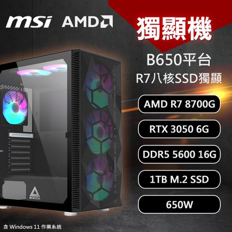 MSI 微星 AMD GTX1650 獨顯機