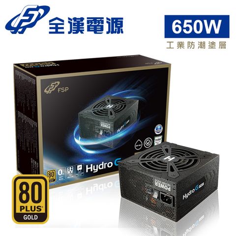 FSP 全漢 Hydro G PRO 650W 80PLUS 金牌 / 全模組 電源供應器