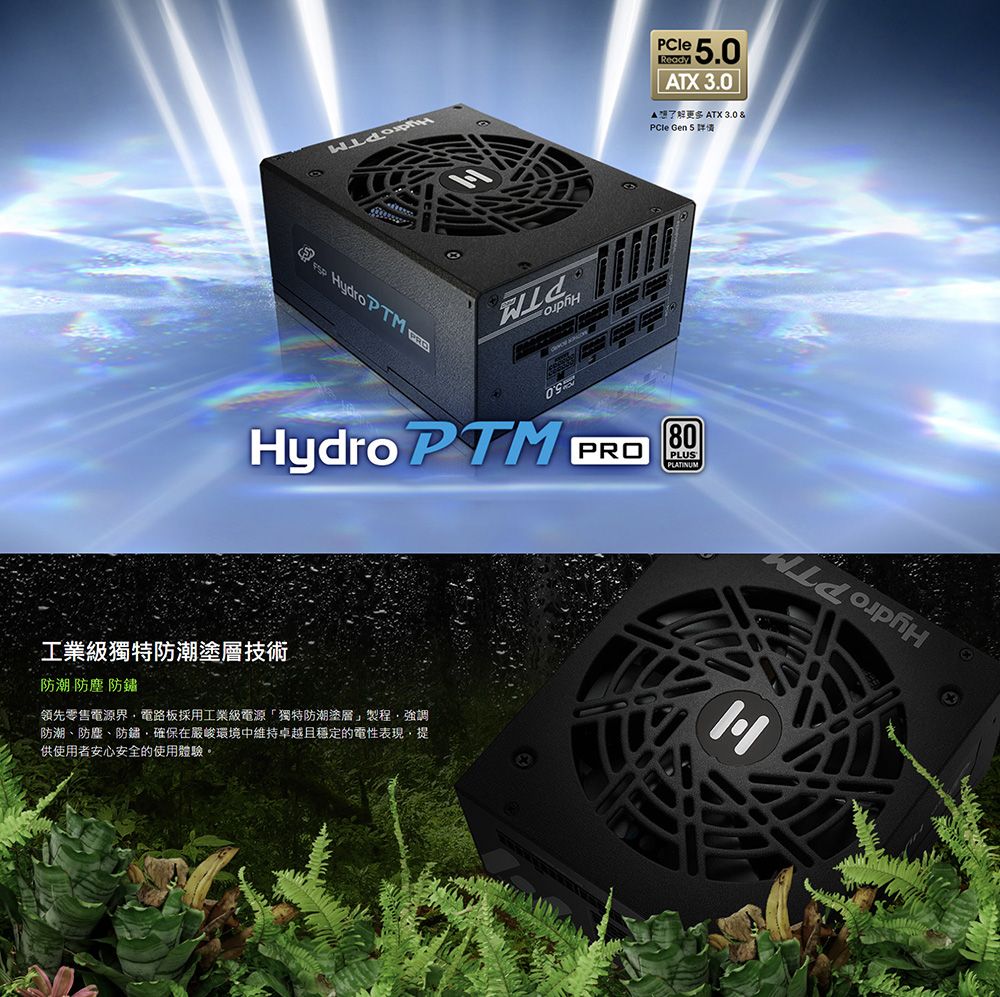 FSP 全漢Hydro PTM PRO 1000W 80PLUS 白金牌全模組化電源供應器(HPT2