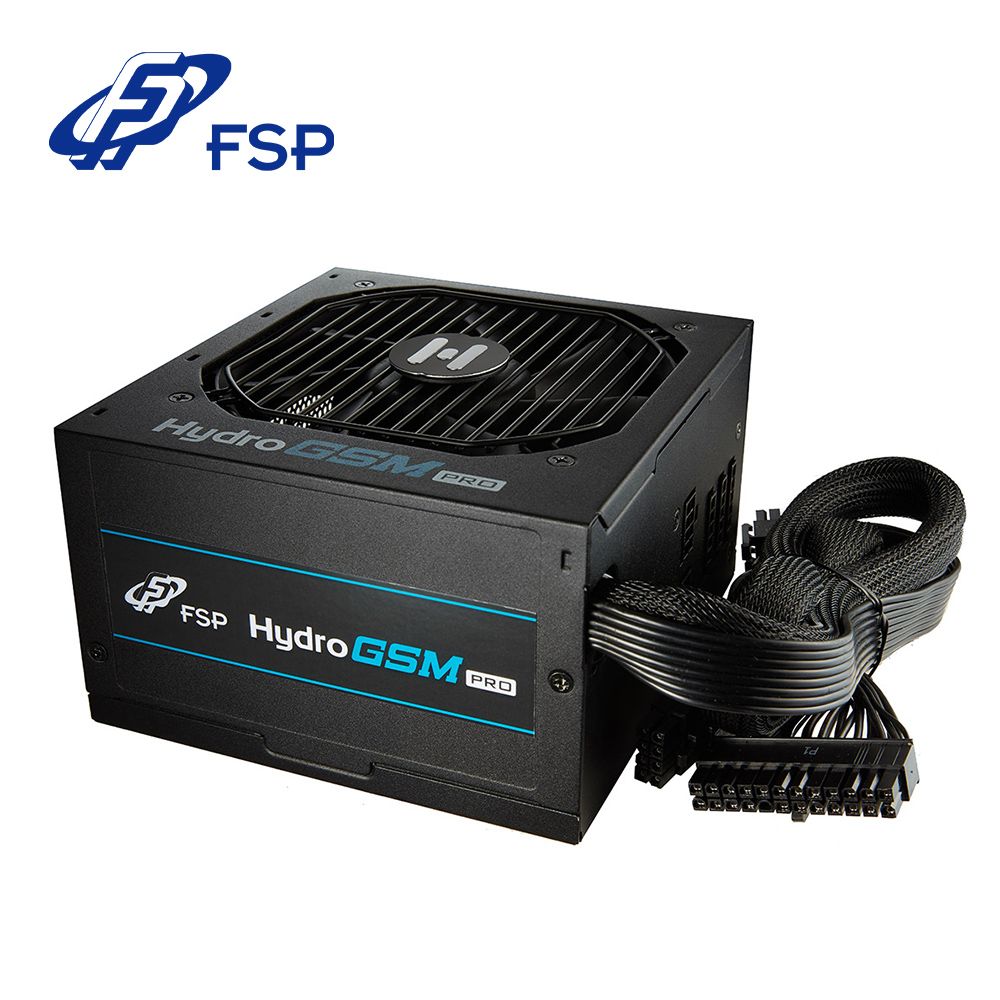 FSP 全漢   Hydro GSM PRO 550W 金牌 半模組 電源供應器