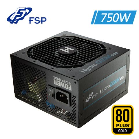 FSP 全漢 Hydro GSM PRO 750W 金牌 半模組 電源供應器