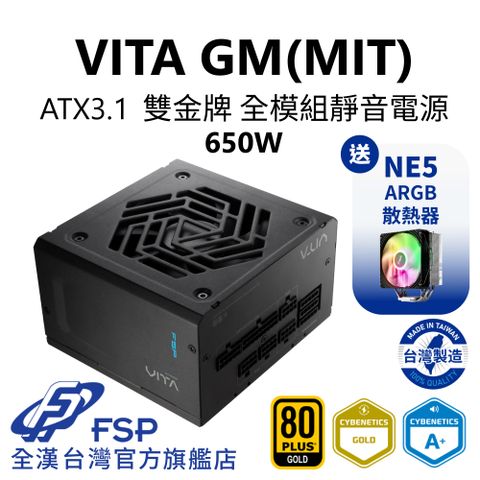 FSP 全漢 【全漢FSP】VITA GM MIT 650W ATX3.1 雙金牌全模組電源 (MIT台灣製造/扁線材/A+低噪認證)