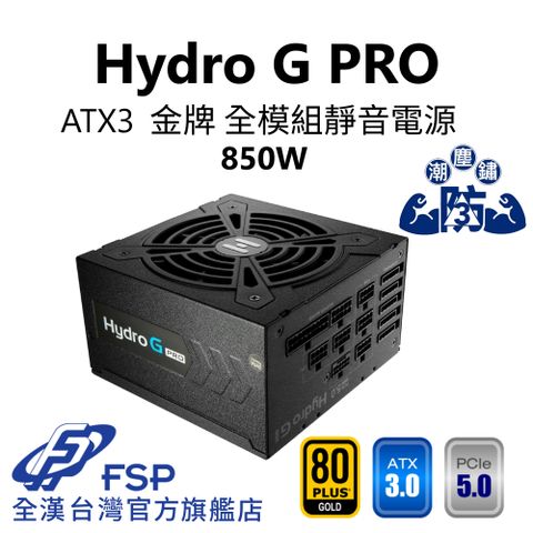 FSP 全漢 【全漢FSP】Hydro G PRO 850W ATX3 PCle5 金牌全模組電源(全日系/黑扁線/防潮防塵防鏽/ECO溫控/FDB)