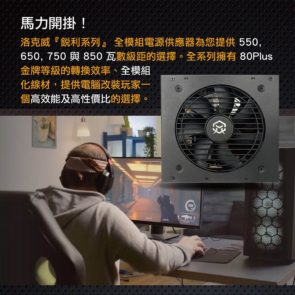 ROGUEWARE 洛克威 REALITY系列 550W 80PLUS 金牌 全模組電源供應器