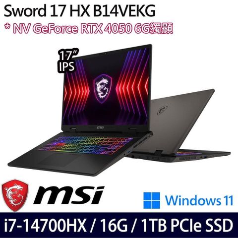 MSI 微星 RTX4050獨顯 Sword 17 HX B14VEKG-023TW 17吋電競筆電