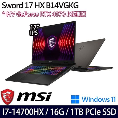 MSI 微星 RTX4070獨顯 Sword 17 HX B14VGKG-025TW 17吋電競筆電