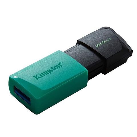 Kingston 金士頓 【南紡購物中心】   256GB 256G【DTXM/256GB】USB 3.2 隨身碟