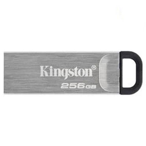 Kingston 金士頓 【南紡購物中心】   256GB 256G DTKN-256G DTKN USB 3.2 隨身碟