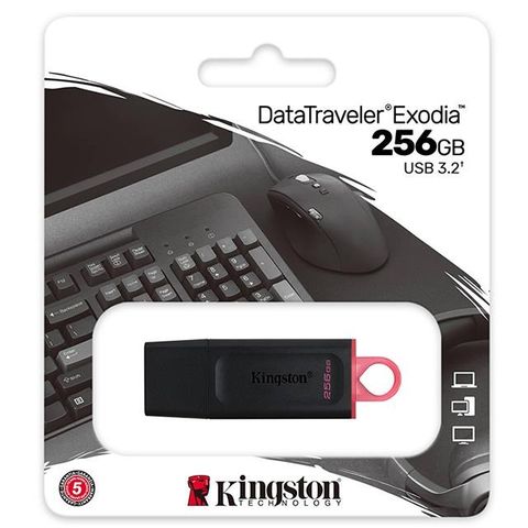 金士頓 Kingston 256GB 256G DTX/256GB DataTraveler Exodia USB 隨身碟