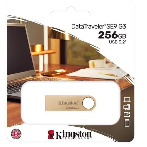 Kingston 金士頓 【南紡購物中心】  256G 256GB【DTSE9G3/256GB】DataTraveler SE9 G3 USB3.2 隨身碟