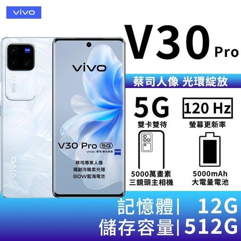 VIVO V30 Pro 12G/512G 6.78吋5G智慧手機-花似錦