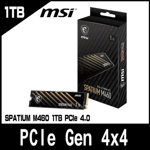 【南紡購物中心】限時促銷MSI微星 SPATIUM M460 1TB PCIe 4.0 NVMe M.2 SSD