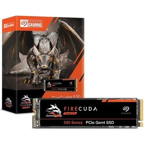 Seagate 希捷 【南紡購物中心】  FireCuda 530 4TB 4T PCIE4 SSD 7300MB/s ZP4000GM3A013  固態硬碟