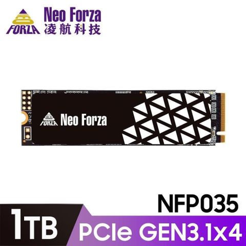 Neo Forza 凌航 NFP035 1TB Gen3 PCIe SSD 固態硬碟