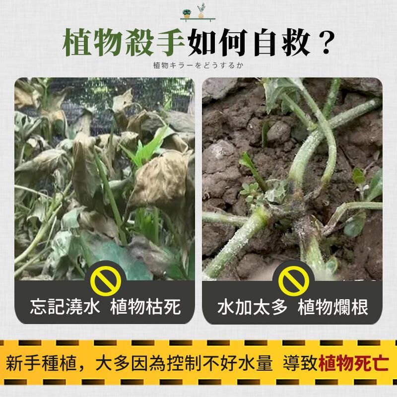 植物殺手如何自救?植物キラーをどうするか忘記 植物枯死水加太多 植物爛根新手種植,大多因為控制不好水量 導致植物死亡