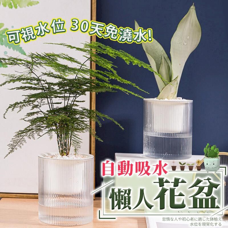 可視水位30天免澆水自動吸水【懶人花盆な人や初心者に適した鉢植え水位を視覚化する