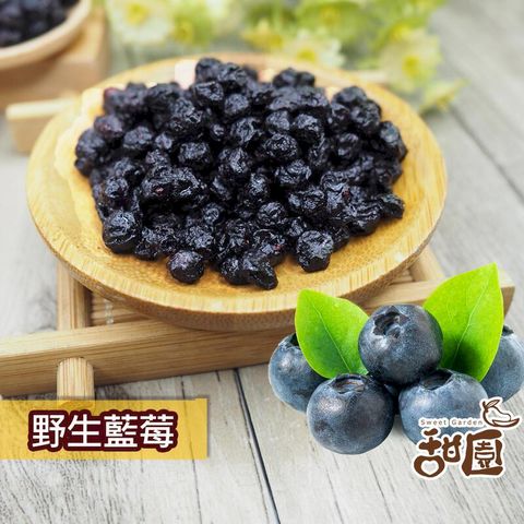 野生藍莓粒 隨身包 藍莓果乾 藍莓 水果乾 果乾 無糖果乾 豐富的花青素