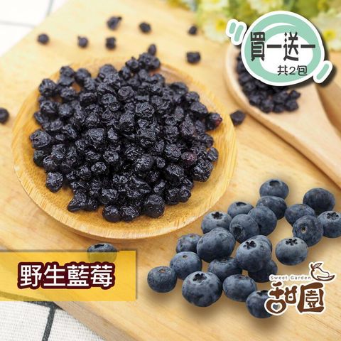 野生藍莓粒 隨身包(買一送一共2包) 藍莓果乾 藍莓 水果乾 果乾 無糖果乾 豐富的花青素