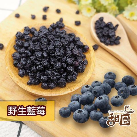 野生藍莓粒 大包裝 藍莓果乾 藍莓 水果乾 果乾 無糖果乾 豐富的花青素