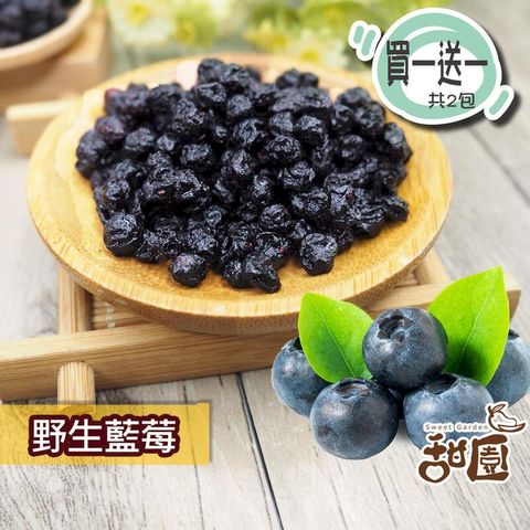 野生藍莓粒 大包裝(買一送一共2包) 藍莓果乾 藍莓 水果乾 果乾 無糖果乾 豐富的花青素