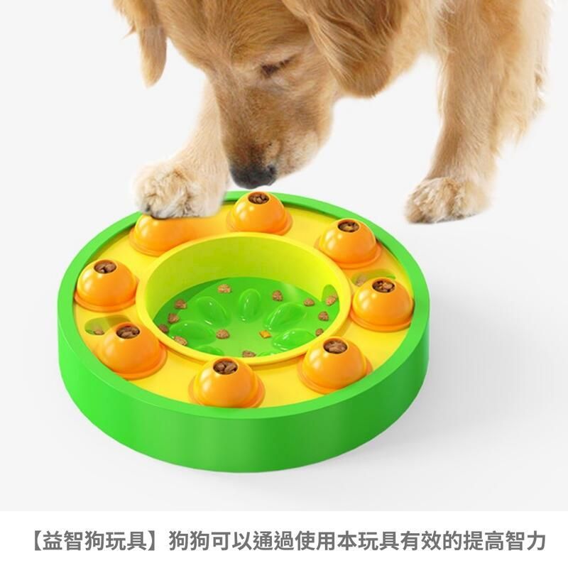  隨機露食轉盤 漏食玩具 豐容 益智玩具 狗用品