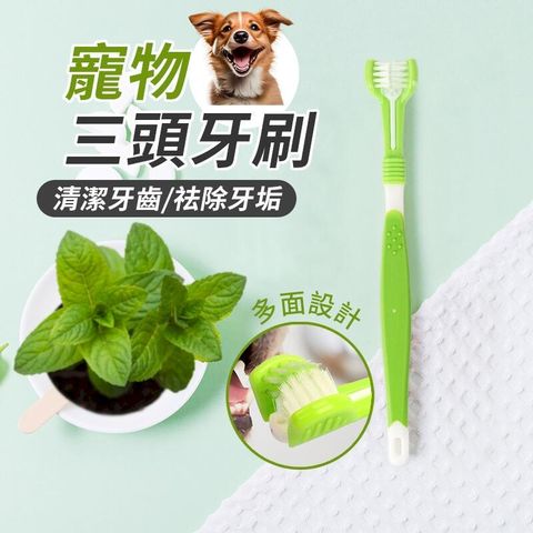 三頭三面牙刷 寵物口腔清潔牙刷 狗牙刷