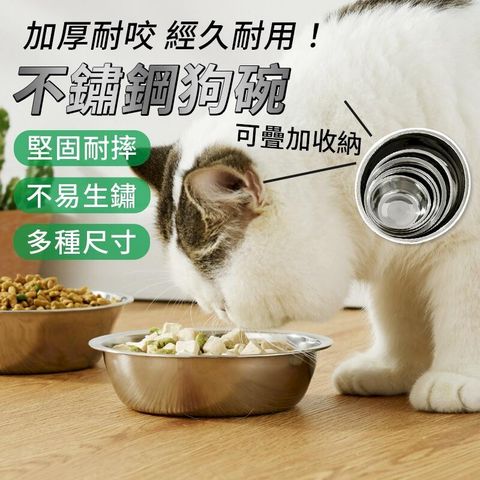 不鏽鋼狗碗 寵物碗 飼料碗 狗碗 貓碗 貓盆 飲水碗