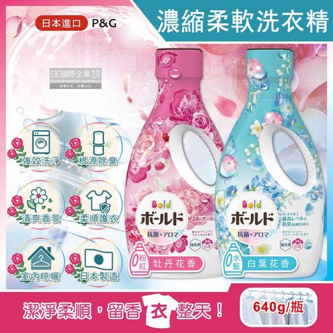 (2瓶)日本P&G-強洗淨室內晾曬花香氛柔軟全效洗衣精640g/瓶