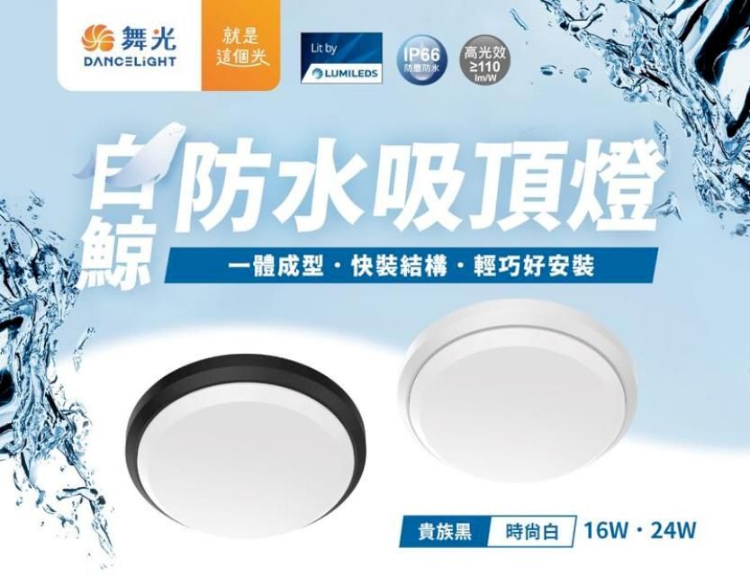  【2入組】舞光 16W LED白鯨防水吸頂燈 防水IP66