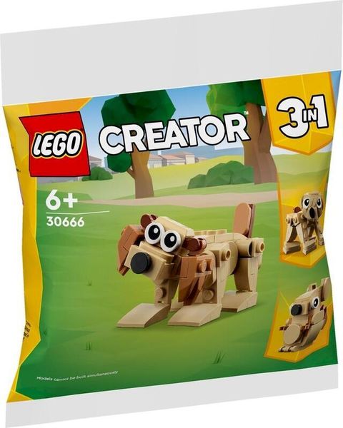袋裝 LEGO 30666 Gift Animals