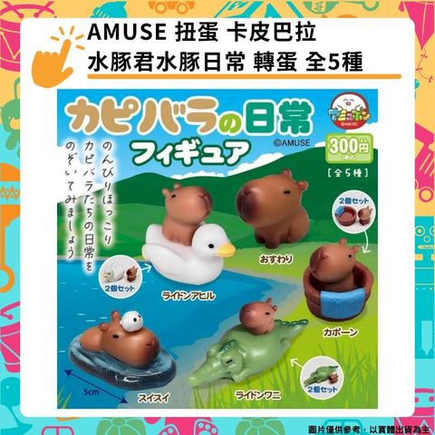 AMUSE 扭蛋 卡皮巴拉 水豚君水豚日常 轉蛋 全5種
