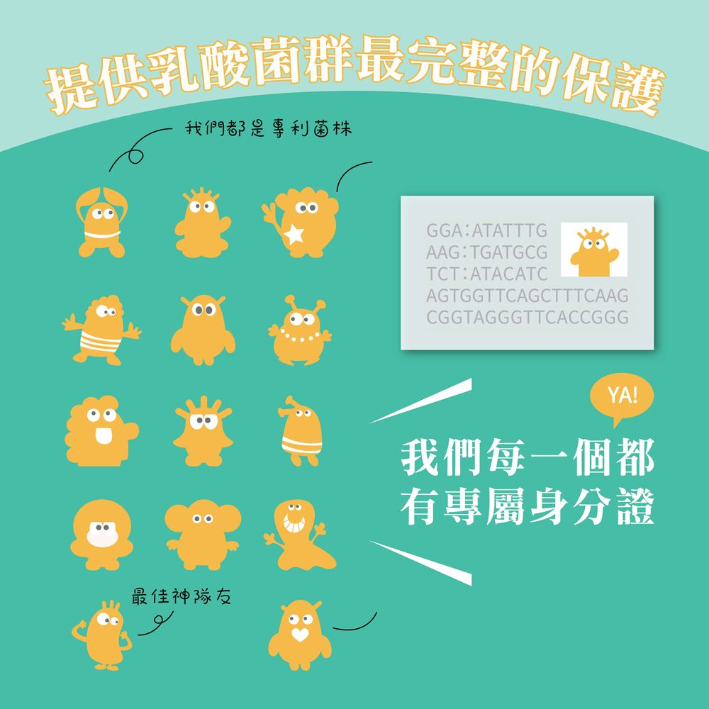 提供乳酸菌群最完整的保護我們都是專利菌株最佳神隊友GGA:ATATTTGAAG:TGATGCGTCT:ATACATCAGTGGTTCAGCTTTCAAGCGGTAGGGTTCACCGGGYA!我們每一個都有專屬身分證