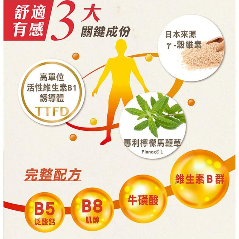 舒適有感 高單位活性維生素B1誘導體TTFD關鍵成份日本-維素專利檸檬馬鞭草Planox L完整配方維生素B群 ®B8牛磺酸泛酸鈣肌醇