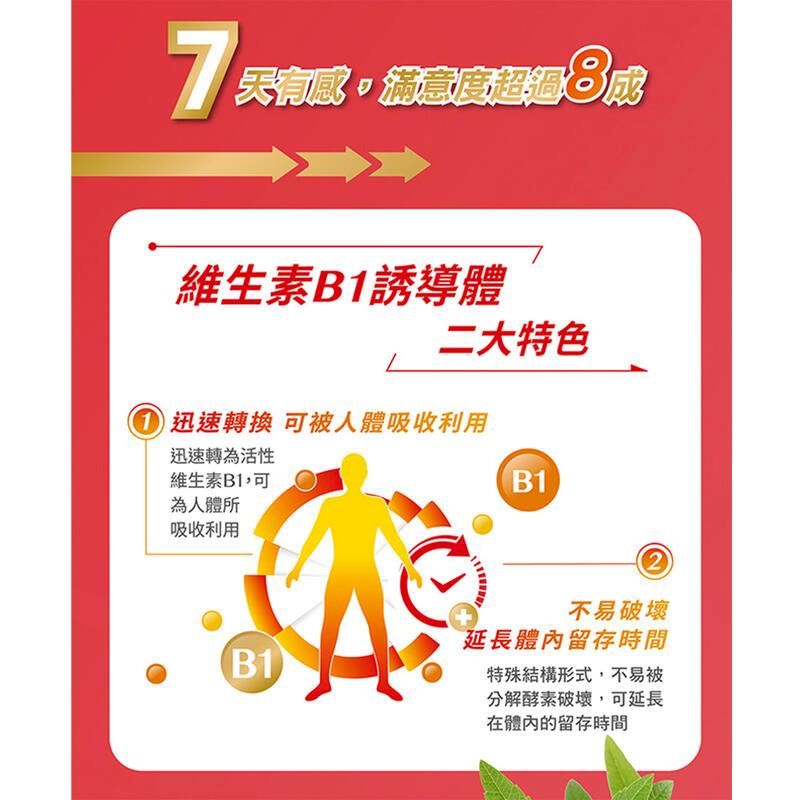 7維生素B1誘導體二大特色 迅速轉換 可被人體吸收利用迅速轉為活性維生素B1,可為人體所吸收利用B12不易破壞延長體內留存時間(B1)特殊結構形式,不易被分解酵素破壞,可延長在體內的留存時間