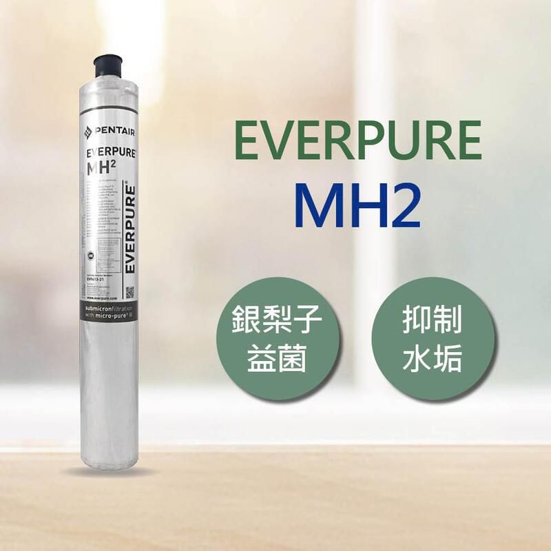  EVERPURE MH2 商用抑垢 濾心 平行輸入 (DIY更換)