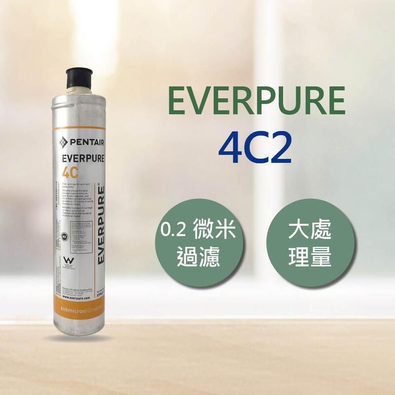  EVERPURE 4C2 活性碳 濾心 平行輸入 (DIY更換)