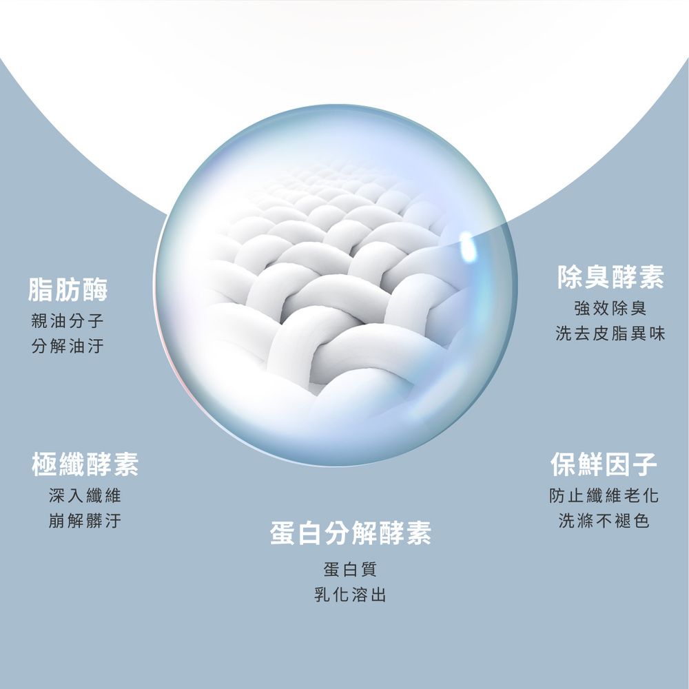脂肪酶親油分子分解油汙極纖酵素深入纖維崩解髒汙蛋白分解酵素蛋白質乳化溶出除臭酵素強效除臭洗去皮脂異味保鮮因子防止纖維老化洗滌不褪色