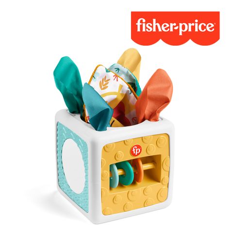 【奇哥】Fisher-Price 費雪 趣味活動方塊