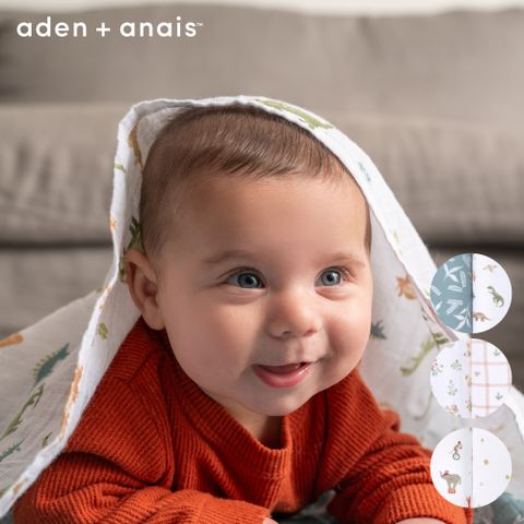 Aden & Anais 經典多功能包巾2入(3款)