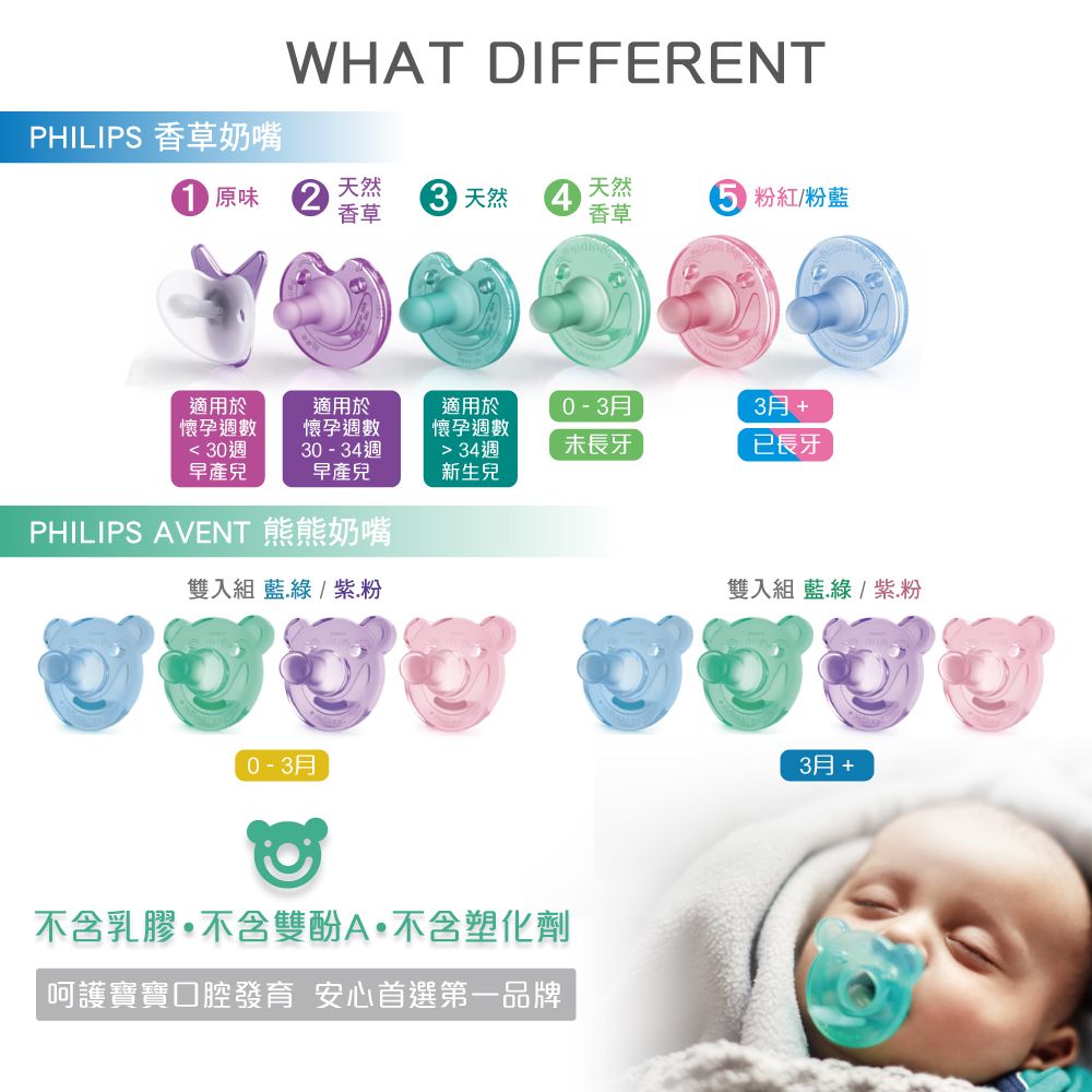 AVENT 新安怡 【PHILIPS 】熊熊安撫奶嘴2入+B&G奶嘴萬用扣夾組