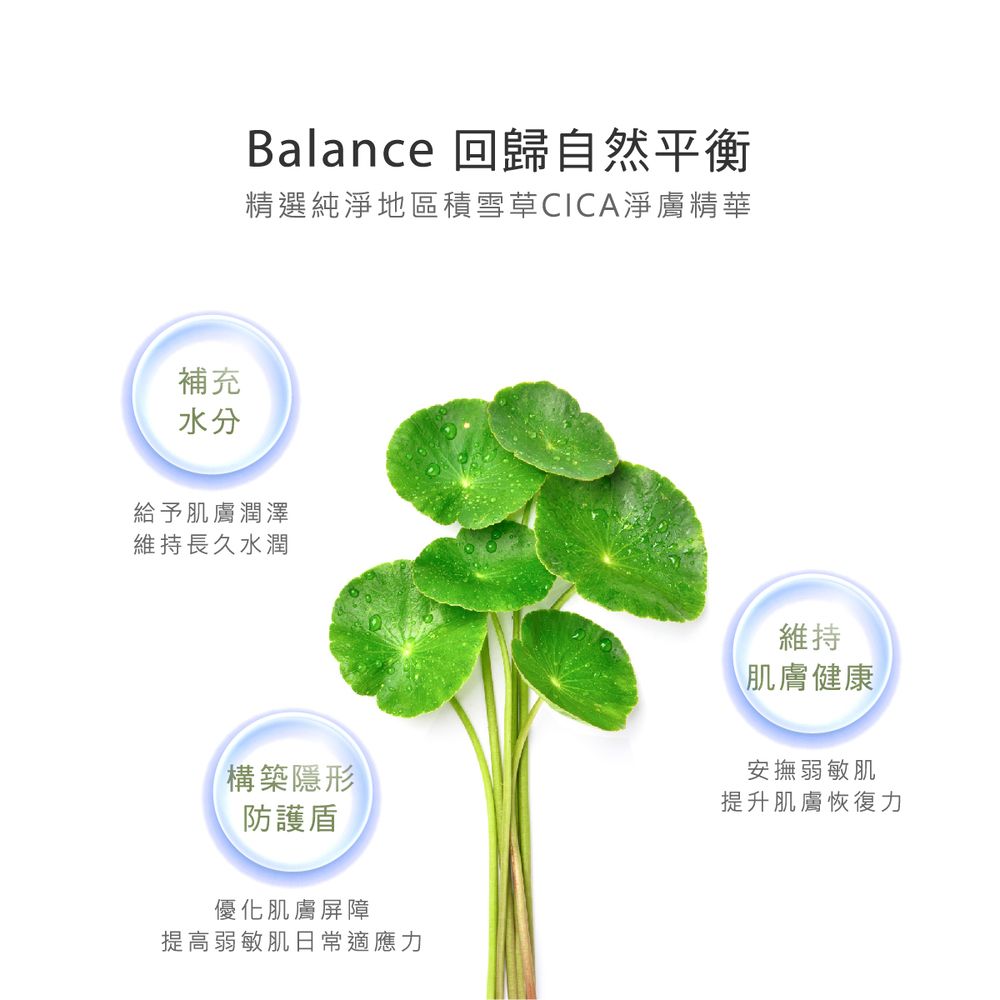 補充水分Balance 回歸自然平衡精選純淨地區積雪草CICA淨膚精華給予肌膚潤澤維持長久水潤構築隱形防護盾優化肌膚屏障提高弱敏肌日常適應力維持肌膚健康安撫弱敏肌提升肌膚恢復力