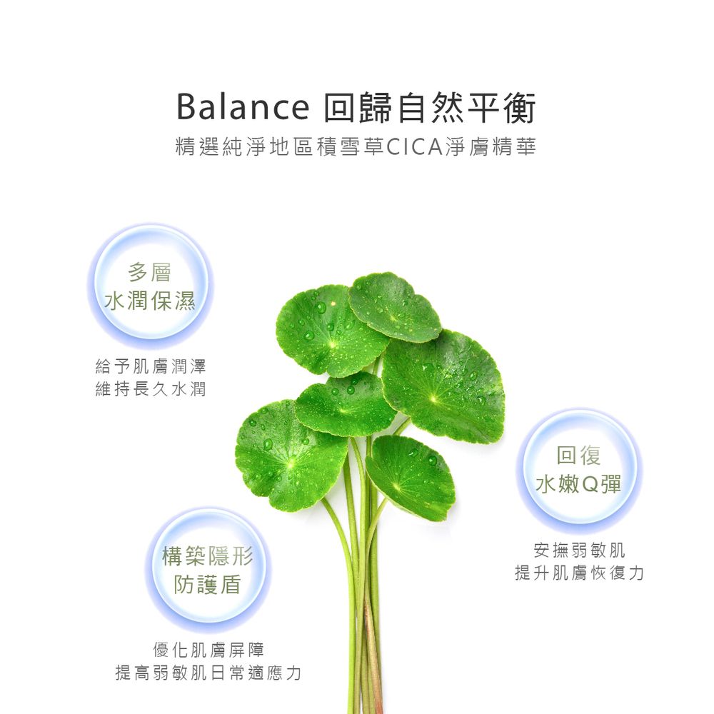 Balance 回歸自然平衡精選純淨地區積雪草CICA淨膚精華多層水潤保濕給予肌膚潤澤維持長久水潤構築隱形防護盾優化肌膚屏障提高弱敏肌日常適應力回復水嫩Q彈安撫弱敏肌提升肌膚恢復力