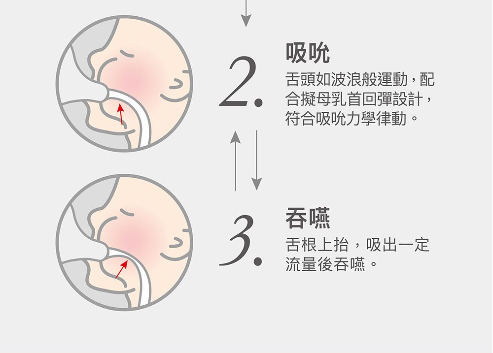 吸吮2.舌頭如波浪般運動,配合擬母乳首回彈設計,3.符合吸吮力學律動。吞嚥舌根上抬,吸出一定流量後吞嚥。