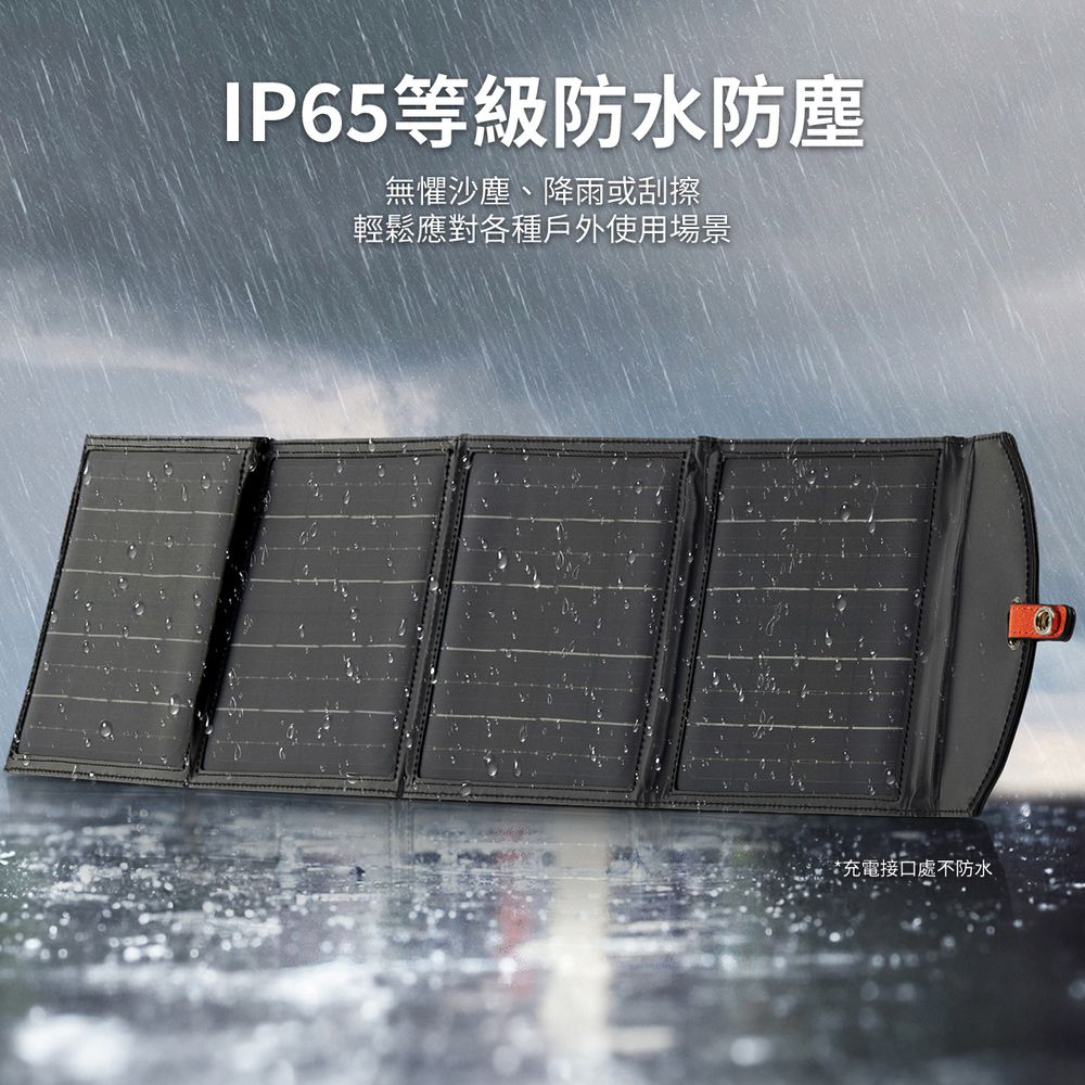 PHILIPS 飛利浦  20W太陽能充電板 DLP8841C