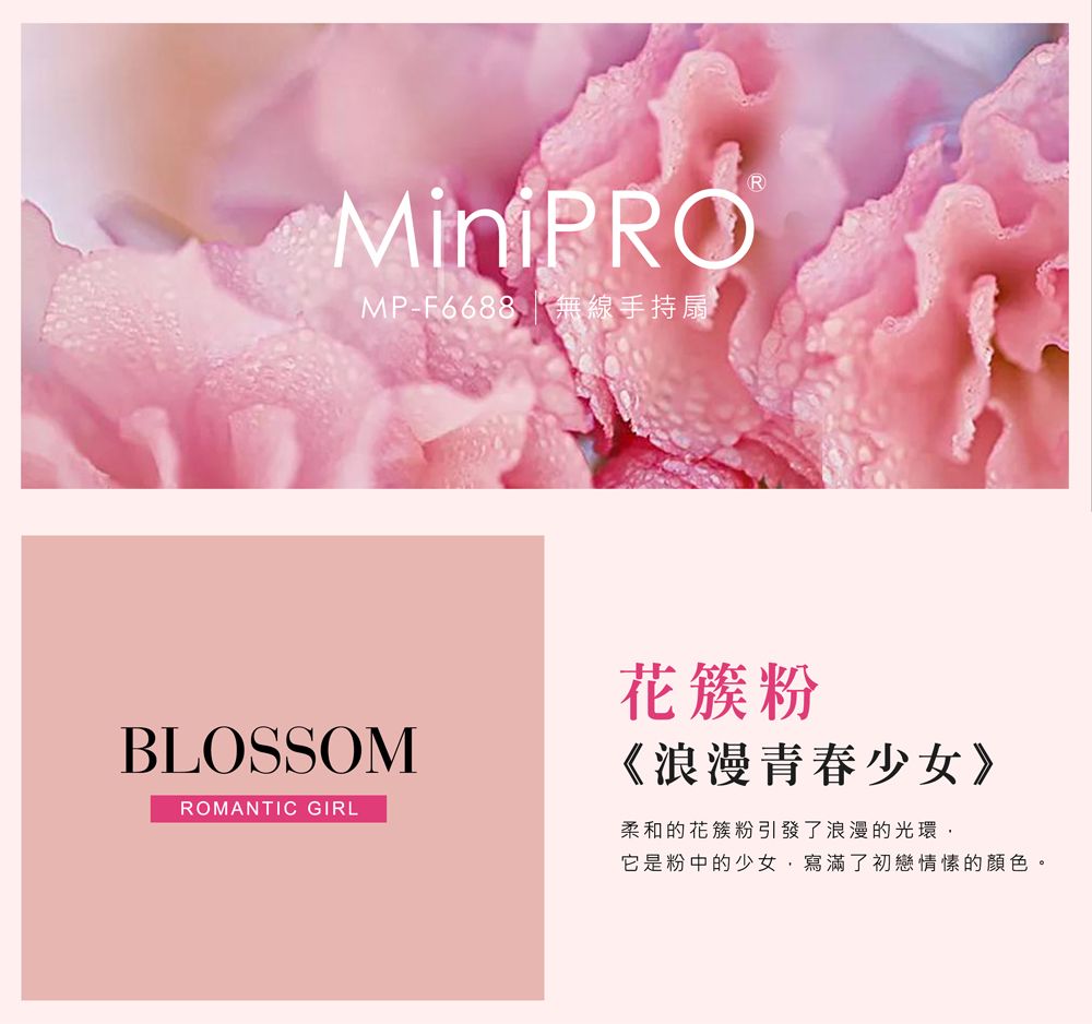 MiniPROMP-F6688  無線手持扇BLOSSOMROMANTIC GIRL花簇粉《浪漫青春少女》柔和的花簇粉引發了浪漫的光環,它是粉中的少女,寫滿了初戀情愫的顏色。