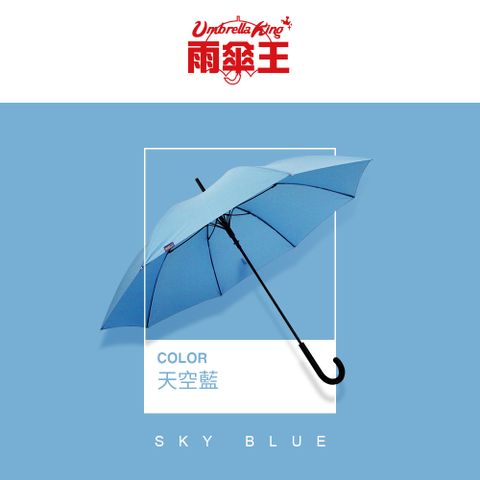 【雨傘王】BigPurple 大紫25吋自動直傘-天空藍(超值款無維修)
