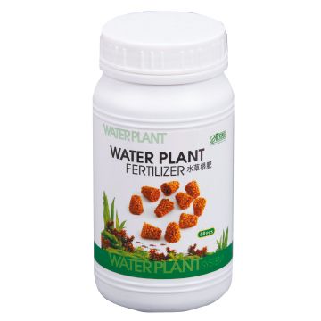 ISTA 水草根肥 50粒