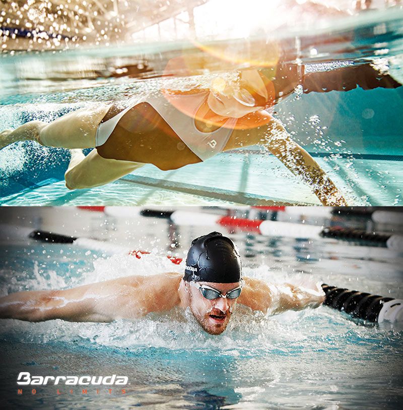 Barracuda